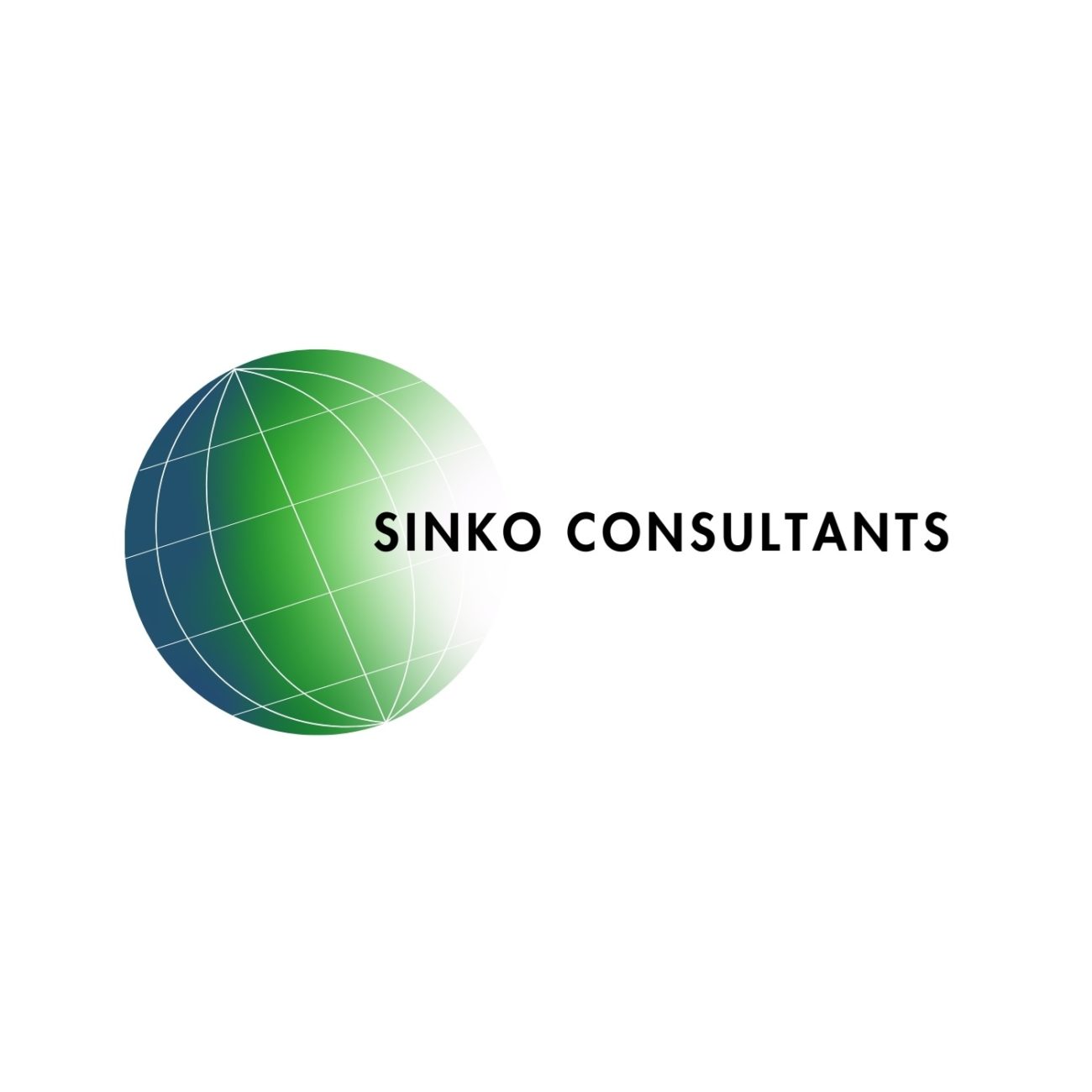 Logo Sinko Consultants